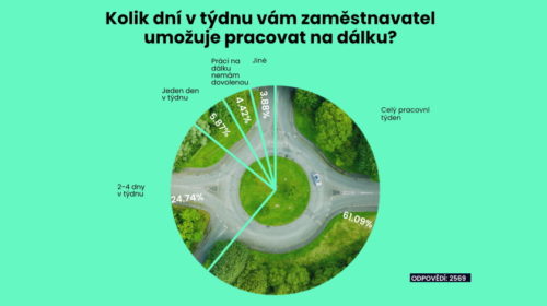 průzkum práce na dálku