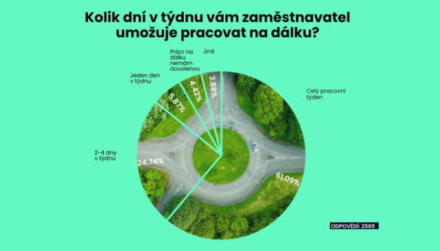 průzkum práce na dálku